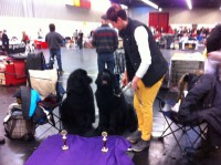 im Jänner bin ich ja auf einer austellung in Nürnberg